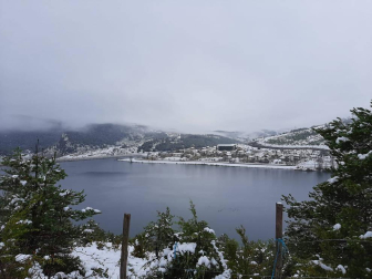 Fotos enviadas por los lectores durante el otoño de 2020.