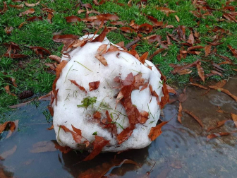 Fotos enviadas por los lectores durante el otoño de 2020.