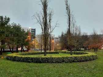 Fotos enviadas por los lectores durante el otoño de 2020.