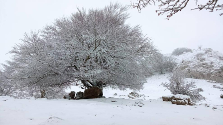 Fotos enviadas por los lectores durante el otoño de 2020.