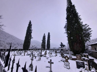 Fotos enviadas por los lectores durante el otoño de 2020.
