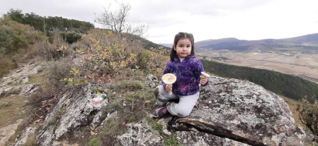 Fotos enviadas por los lectores durante el otoño de 2020.