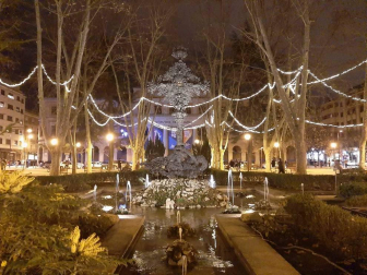Fotos enviadas por los lectores durante el otoño de 2020.