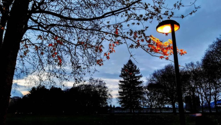 Fotos enviadas por los lectores durante el otoño de 2020.
