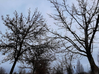 Fotos enviadas por los lectores durante el otoño de 2020.