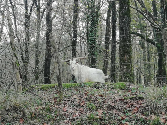 Fotos enviadas por los lectores durante el otoño de 2020.