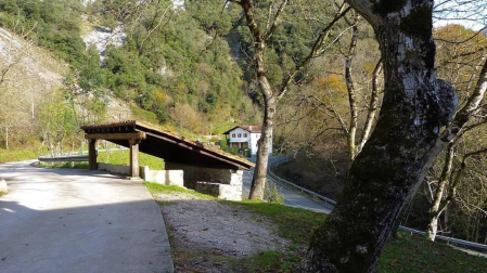 Fotos enviadas por los lectores durante el otoño de 2020.