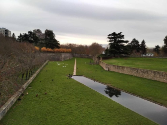 Fotos enviadas por los lectores durante el otoño de 2020.