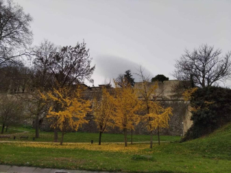 Fotos enviadas por los lectores durante el otoño de 2020.
