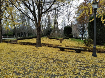 Fotos enviadas por los lectores durante el otoño de 2020.
