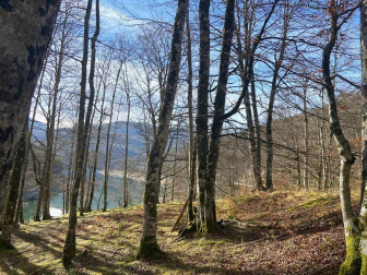 Fotos enviadas por los lectores durante el otoño de 2020.