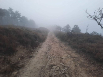 Fotos enviadas por los lectores durante el otoño de 2020.