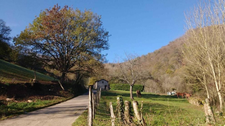 Fotos enviadas por los lectores durante el otoño de 2020.