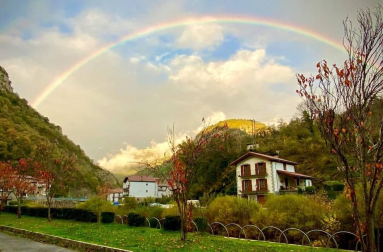 Fotos enviadas por los lectores durante el otoño de 2020.