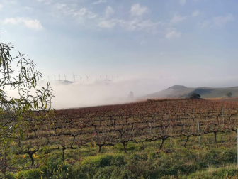 Fotos enviadas por los lectores durante el otoño de 2020.