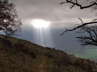 Fotos enviadas por los lectores durante el otoño de 2020.