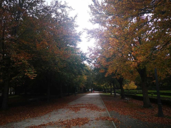 Fotos enviadas por los lectores durante el otoño de 2020.