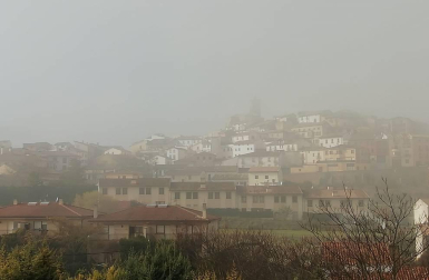 Fotos enviadas por los lectores durante el otoño de 2020.