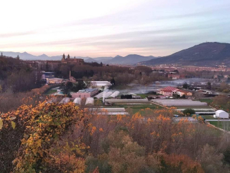 Fotos enviadas por los lectores durante el otoño de 2020.