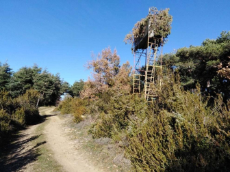 Fotos enviadas por los lectores durante el otoño de 2020.