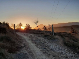 Fotos enviadas por los lectores durante el otoño de 2020.