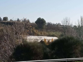 Fotos enviadas por los lectores durante el otoño de 2020.
