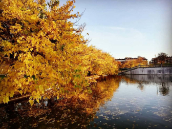 Fotos enviadas por los lectores durante el otoño de 2020.