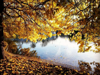 Fotos enviadas por los lectores durante el otoño de 2020.