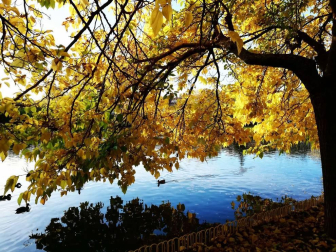 Fotos enviadas por los lectores durante el otoño de 2020.