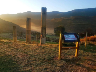 Fotos enviadas por los lectores durante el otoño de 2020.