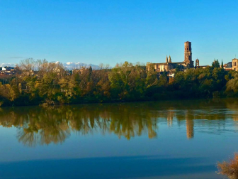 Fotos enviadas por los lectores durante el otoño de 2020.