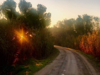 Fotos enviadas por los lectores durante el otoño de 2020.