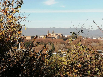 Fotos enviadas por los lectores durante el otoño de 2020.