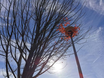 Fotos enviadas por los lectores durante el otoño de 2020.
