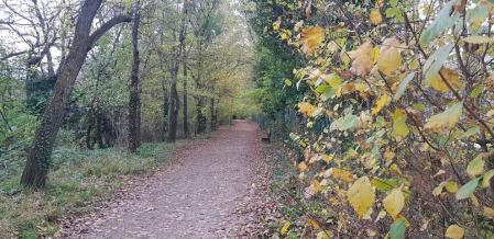 Fotos enviadas por los lectores durante el otoño de 2020.