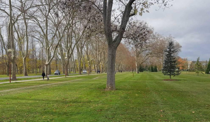 Fotos enviadas por los lectores durante el otoño de 2020.