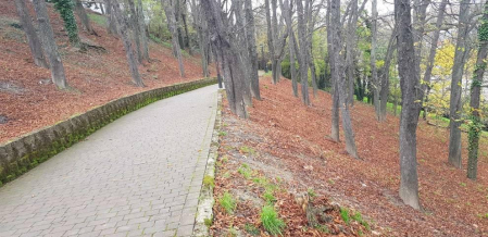Fotos enviadas por los lectores durante el otoño de 2020.