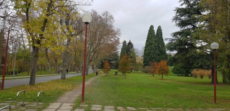 Fotos enviadas por los lectores durante el otoño de 2020.