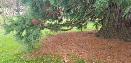 Fotos enviadas por los lectores durante el otoño de 2020.