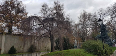 Fotos enviadas por los lectores durante el otoño de 2020.