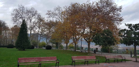 Fotos enviadas por los lectores durante el otoño de 2020.