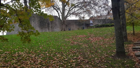 Fotos enviadas por los lectores durante el otoño de 2020.