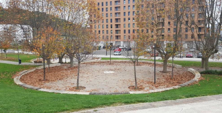 Fotos enviadas por los lectores durante el otoño de 2020.