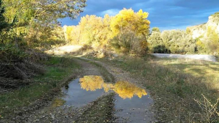 Fotos enviadas por los lectores durante el otoño de 2020.