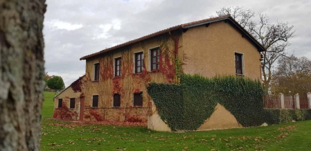 Fotos enviadas por los lectores durante el otoño de 2020.