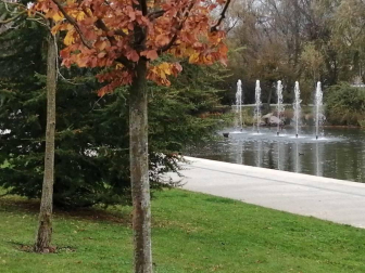 Fotos enviadas por los lectores durante el otoño de 2020.