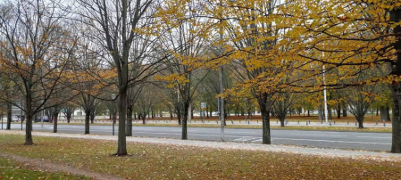 Fotos enviadas por los lectores durante el otoño de 2020.