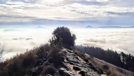 Fotos enviadas por los lectores durante el otoño de 2020.