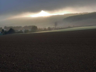 Fotos enviadas por los lectores durante el otoño de 2020.