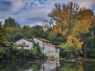 Fotos enviadas por los lectores durante el otoño de 2020.